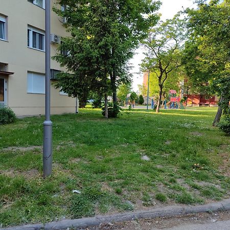 Apartman Studio Blue Subotica Esterno foto